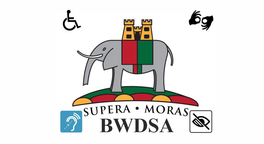 BWDSA Constitution 